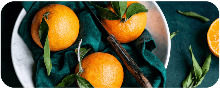 Cabbage, Nutrition Counselling, Coach Haus